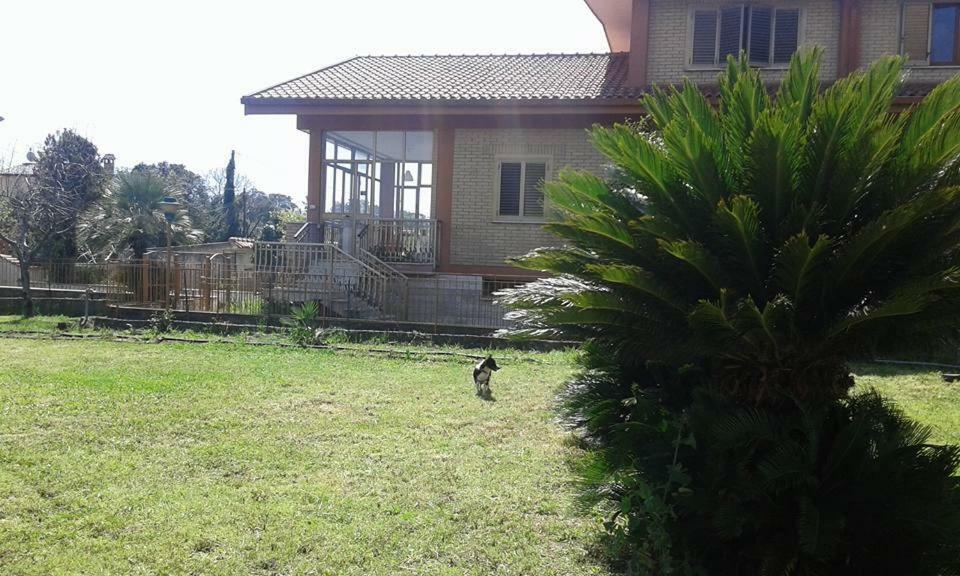 Villa Lucia Affitta Camere Formia Bagian luar foto